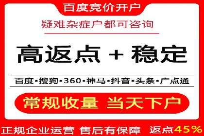 深入解析SEM竞价优化的核心技术与案例